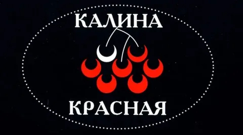 В КОГОБУ ВСШ г. Котельнича стартует отборочный тур школьных талантов для участия в конкурсе исполнителей «Калина Красная».
