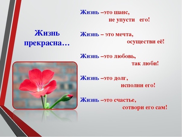 «Жизнь как чудо!».