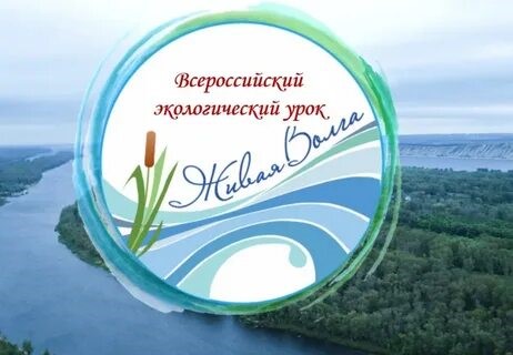 Единые дни действий в защиту рек и водоемов.